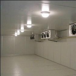 建一個蔬菜保鮮庫和水果保鮮庫多少錢？