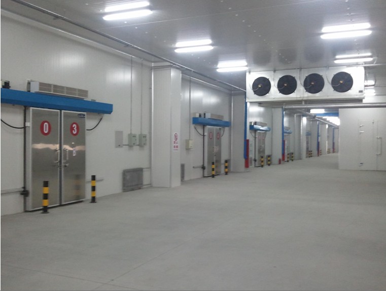 蔬菜保鮮庫可以保鮮多久呢？