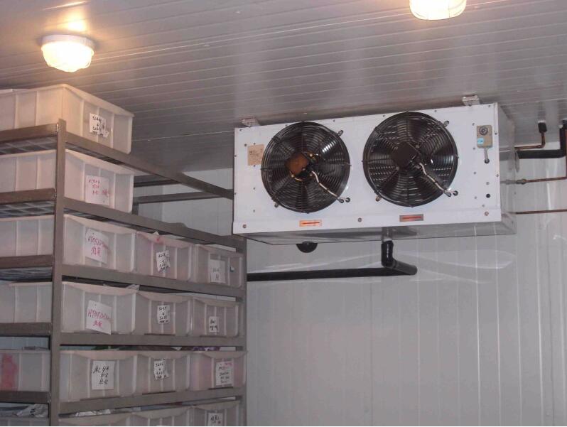 蔬菜保鮮庫：冷庫保鮮有哪些注意事項？冷庫設備應如何維護？