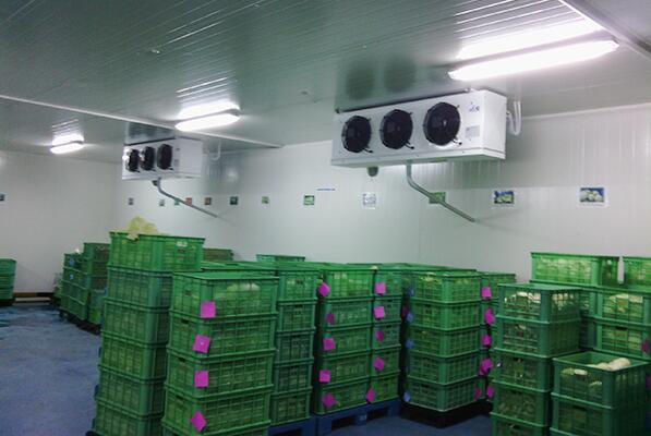 談?wù)勈卟吮ｕr庫(kù)建造要求有哪些