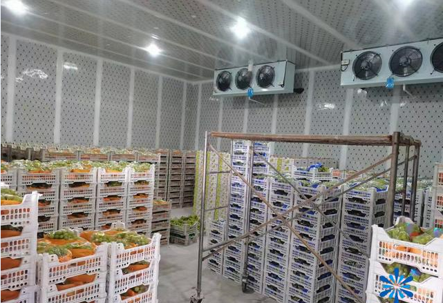 葡萄冷庫保鮮技術(shù)