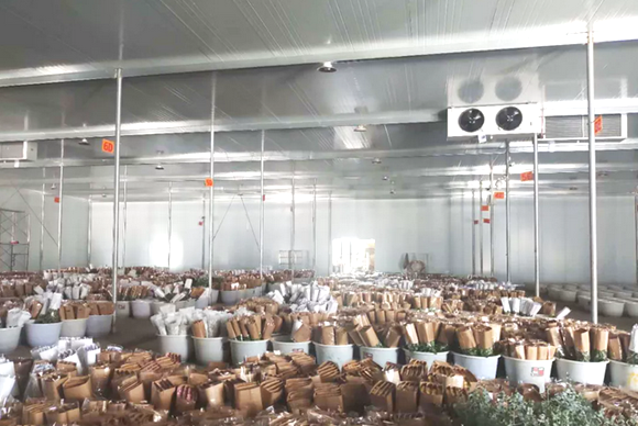 華雪鮮花保鮮庫簡單介紹