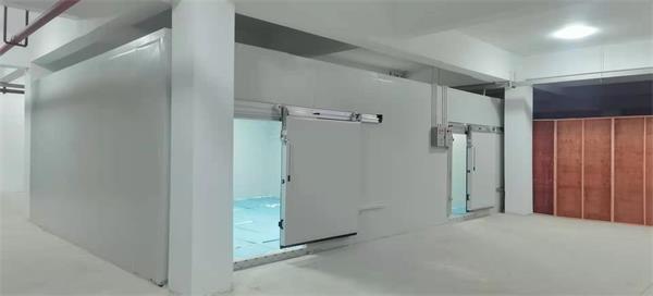 醫(yī)用冷庫(kù)常見故障排查與高效維修策略探究