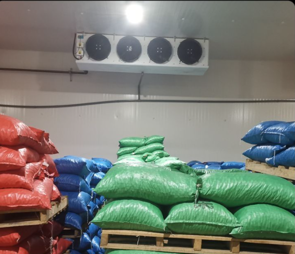 板栗存放在冷藏庫的知識簡介