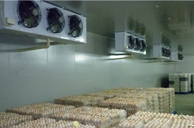 華雪制冷雞蛋保鮮庫介紹