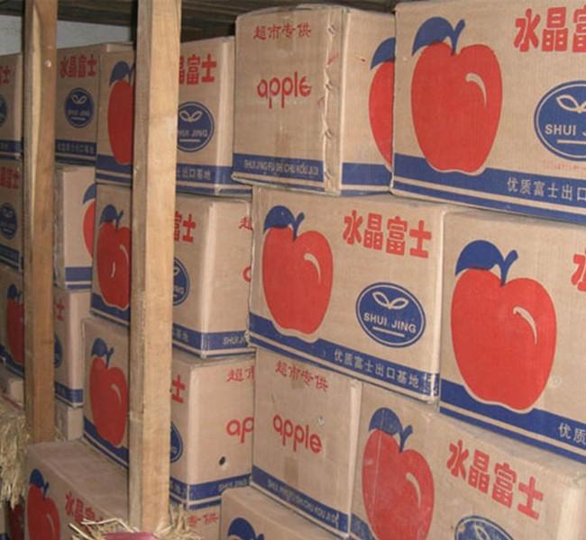 蘋果冷庫(kù)